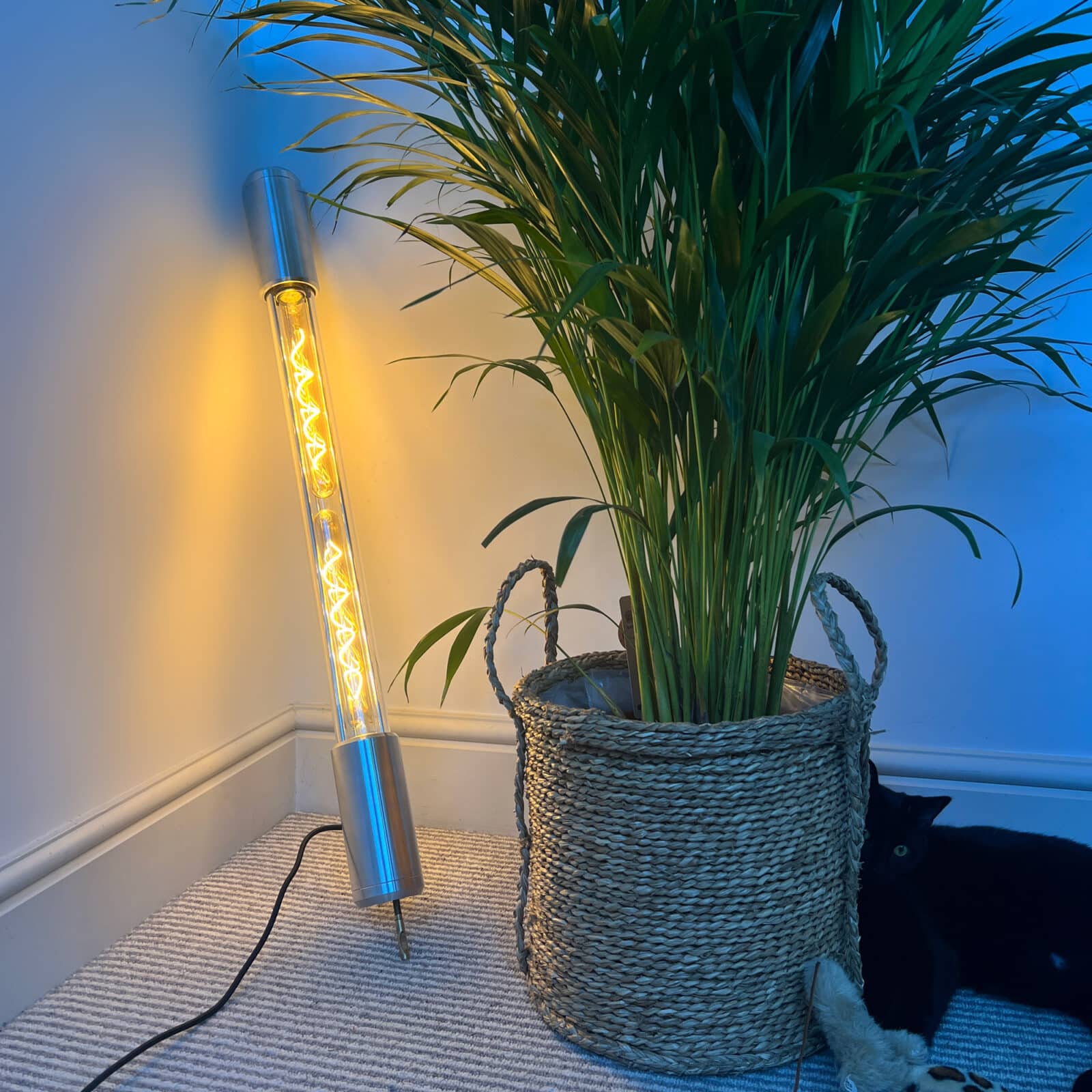 Industrial style aluminium and glass linear floor lamp which leans against the wall and is fitted with Edison LED filament tubes